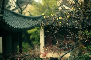 孟浩然诗词里的夏天 最唯美的山水田园诗词