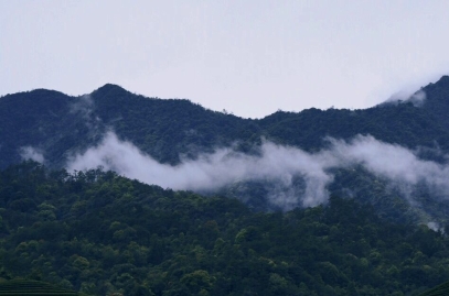 《周易》中的成语：行之有效的为人处世策略