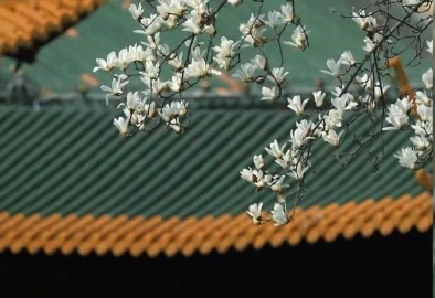 《菜根谭》：八句至理名言 八种处世大智慧