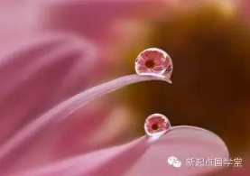 陌上寒霜重 诗中百花香