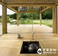 小小茶杯 大大哲学 快来这里涨知识
