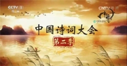 《中国诗词大会》圈粉“00后” 中文可以这么美