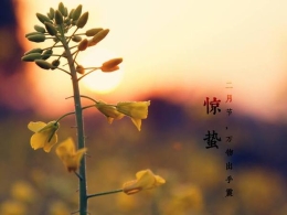 涨知识：20句惊蛰谚语 20种古代人的智慧