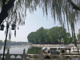 过去的“三媒六证”与现在的区别 你未必知道