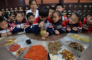 中医药教材进中小学：传统文化须科学眼光审视