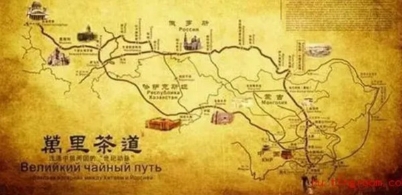 一片叶子改变的世界史：红茶的兴与衰