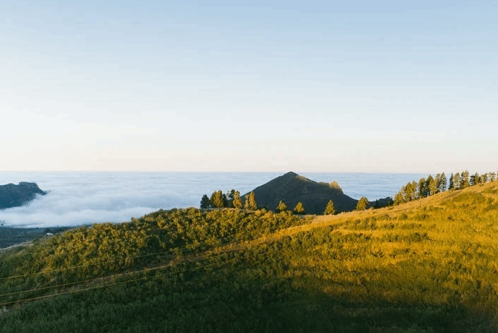 李白初次离乡远游时写的一首诗 开阔大气