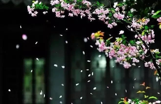 谷雨：最后的春色如诗 愿你莫负好时光