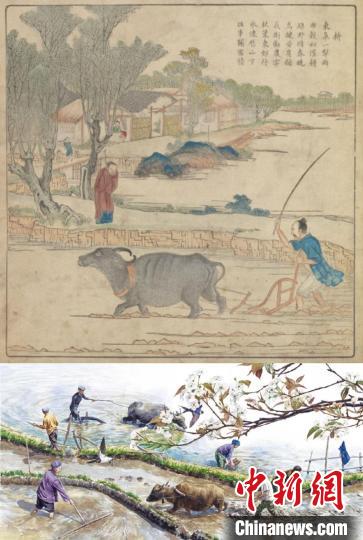 上图为选自《御制耕织图》焦秉贞 绘(清彩绘本),下图选自九神鹿绘本馆《盘中餐》,于虹呈绘 中少总社供图 上图为选自《御制耕织图》焦秉贞 绘(清彩绘本),下图选自九神鹿绘本馆《盘中餐》,于虹呈绘 中少总社供图