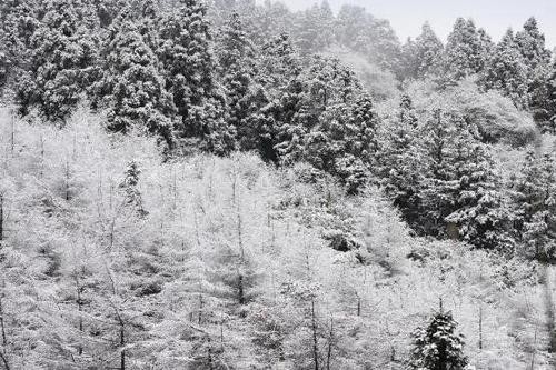 冬季养生指南：日常生活中藏着哪些健康密码