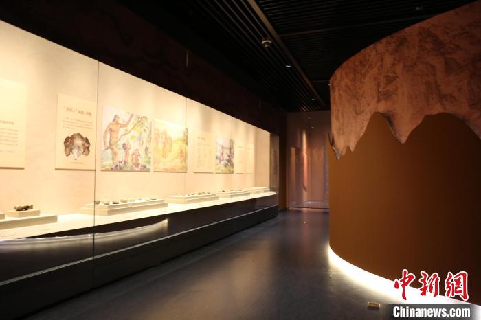 展览展出了周口店遗址的139件(套)文物。 太原市博物馆供图 展览展出了周口店遗址的139件(套)文物。 太原市博物馆供图