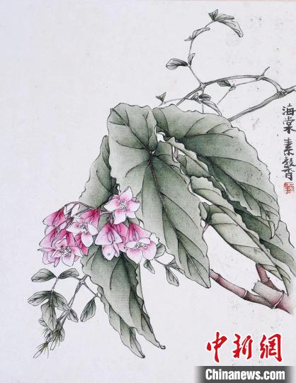 黄士陵《粤中花木册》中的植物 广州艺术博物院 供图 黄士陵《粤中花木册》中的植物 广州艺术博物院 供图