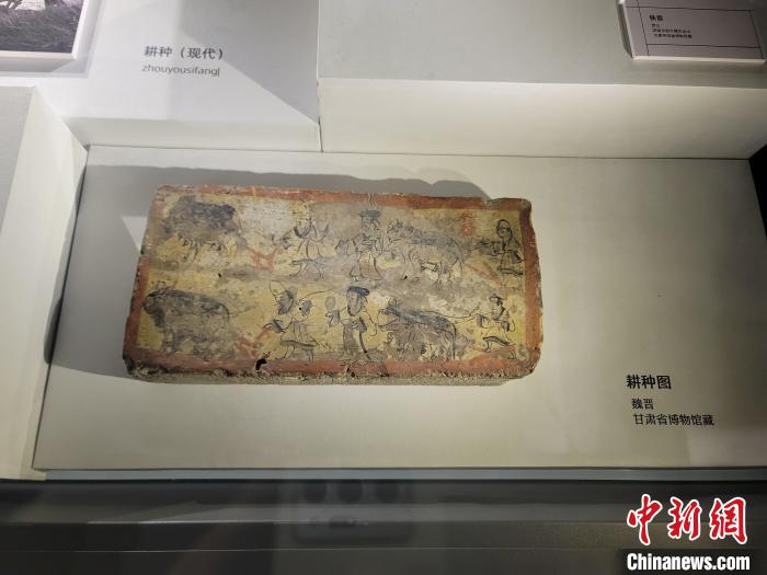 图为展出的文物。 阿琳娜 摄 图为展出的文物。 阿琳娜 摄