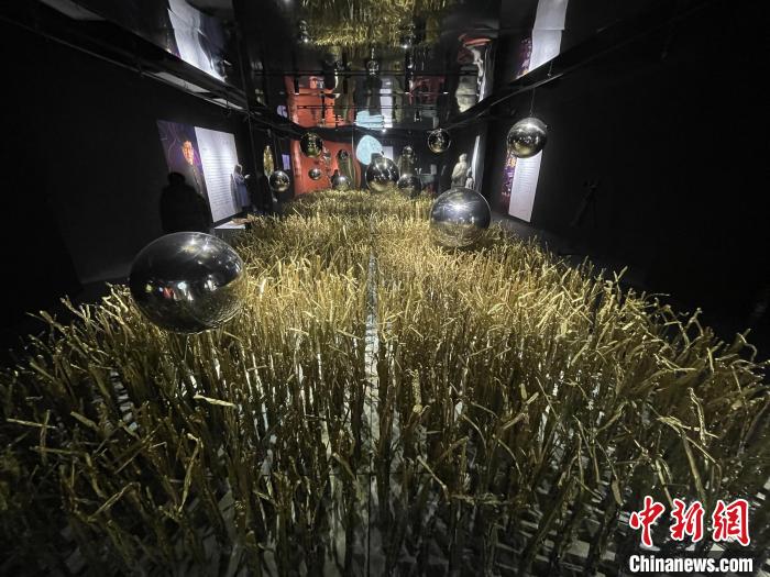 作品《稻可道,非常稻》。 徐银 摄 作品《稻可道,非常稻》。 徐银 摄