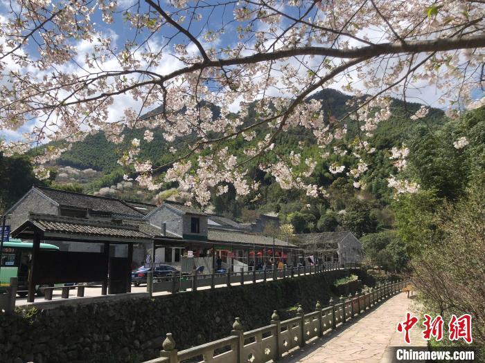 奉化乡村一景。 林波 摄 奉化乡村一景。 林波 摄