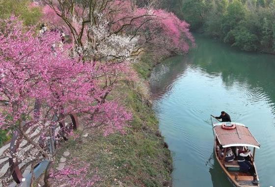 浙江文旅观察：梅花旅游只配“拍照打卡”吗