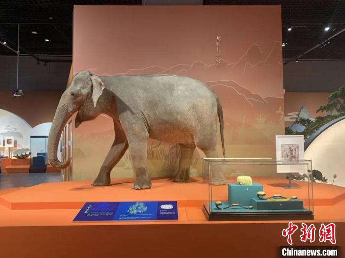 在“福禄寿喜·美好生活——中国吉祥文化特展”中，标本与文物一同展出 浙江自然博物院供图
