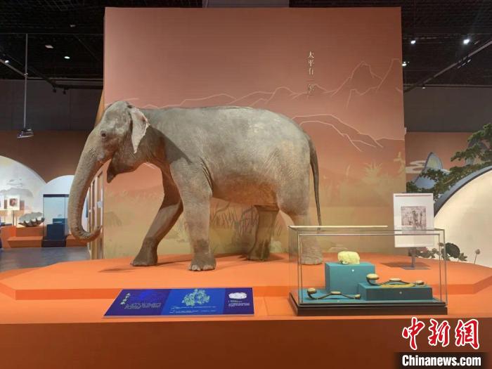 在“福禄寿喜·美好生活——中国吉祥文化特展”中,标本与文物一同展出 浙江自然博物院供图 在“福禄寿喜·美好生活——中国吉祥文化特展”中,标本与文物一同展出 浙江自然博物院供图