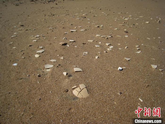 散布在马达加斯加海滩或埋藏沙丘中的象鸟蛋碎片(摄于2006-2007年)。 Gifford Miller 摄 散布在马达加斯加海滩或埋藏沙丘中的象鸟蛋碎片(摄于2006-2007年)。 Gifford Miller 摄