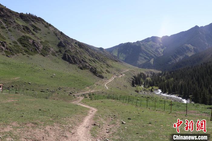 古道途中高山牧场。 喇小飞 摄 古道途中高山牧场。 喇小飞 摄