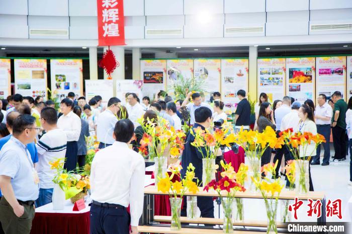 小黄花释放大能量2023中国（上海）萱草文化节在沪开幕