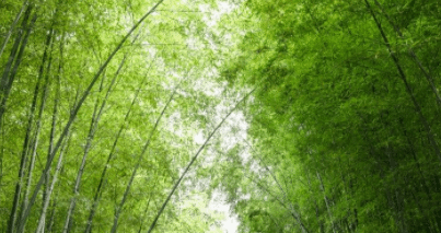 6首知己诗词：初秋念老友 借诗祝君安