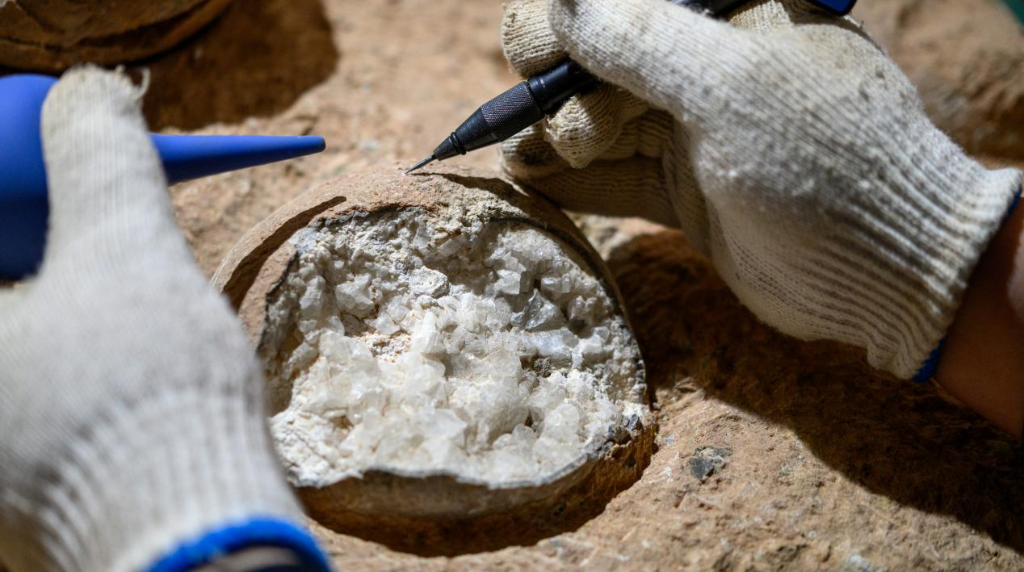 约8600万年前的恐龙蛋有了“出生证明”