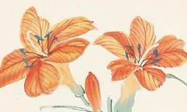 愿你淡定从容地过好每一个平淡的日子