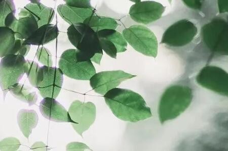 18位女作家笔下的生活哲理 读完豁然开朗