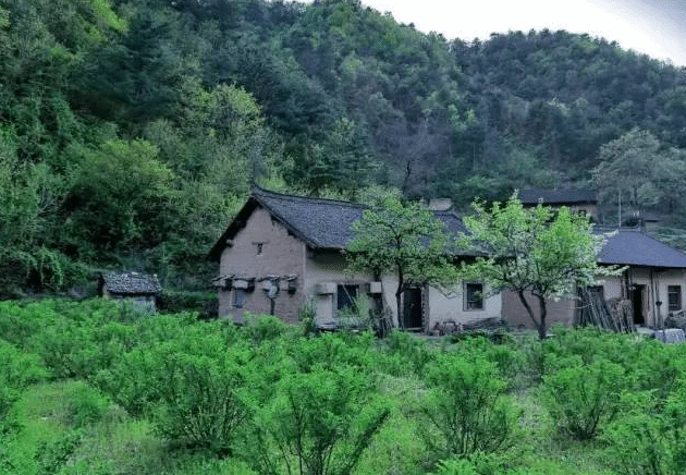 【梦里故乡】许忠学的乡情散文：故乡的夏雨