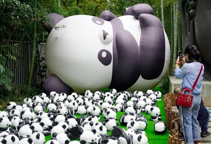 一千多只“大熊猫”亮相杭州韩美林艺术馆 吸引游客打卡