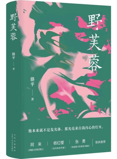 长篇小说《野芙蓉》：70后的心灵回溯