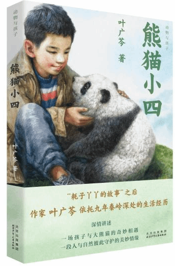 《熊猫小四》：献给高山生灵之作
