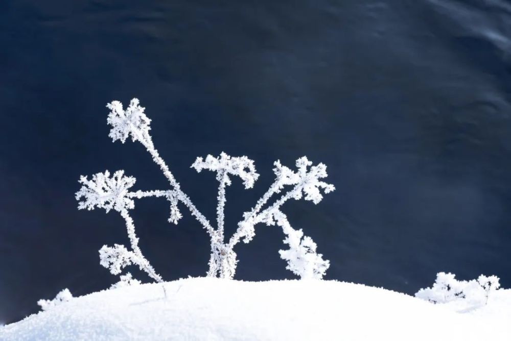 最准确 最唯美 最纯洁 最有情 古诗词里的“雪容融”