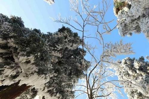 今日小雪 围炉温酒 岁月温柔