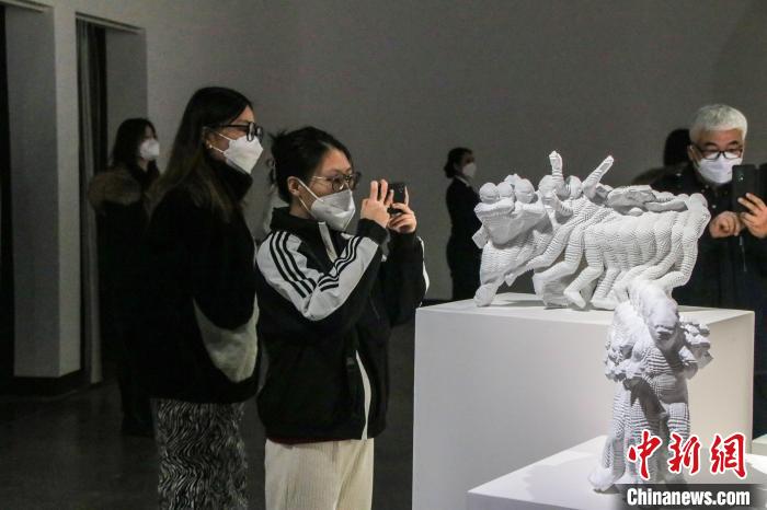 本届双年展现场，新颖的展览作品吸引市民拿起手机拍照。　苟继鹏 摄