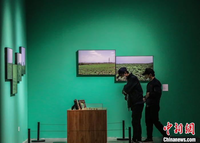市民在本届双年展现场参观。　苟继鹏 摄