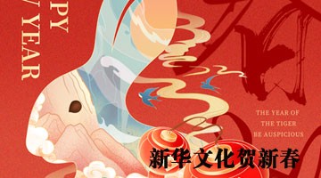 文化热点：泰国“欢乐春节”彩灯展开幕