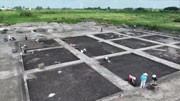江苏兴化发现距今约7000年的新石器遗址