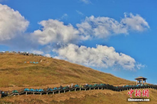 资料图：图为江西武功山高山草甸旁的登山步道，游客在登山。 刘力鑫 摄