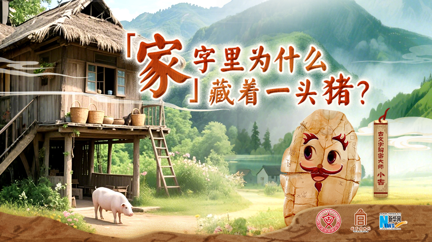 字古以来丨“家”字里为什么藏着一头猪？