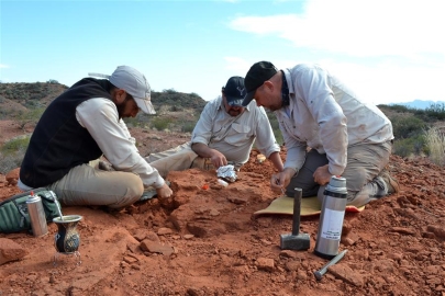 阿根廷古生物学家复原2亿多年前乌龟化石