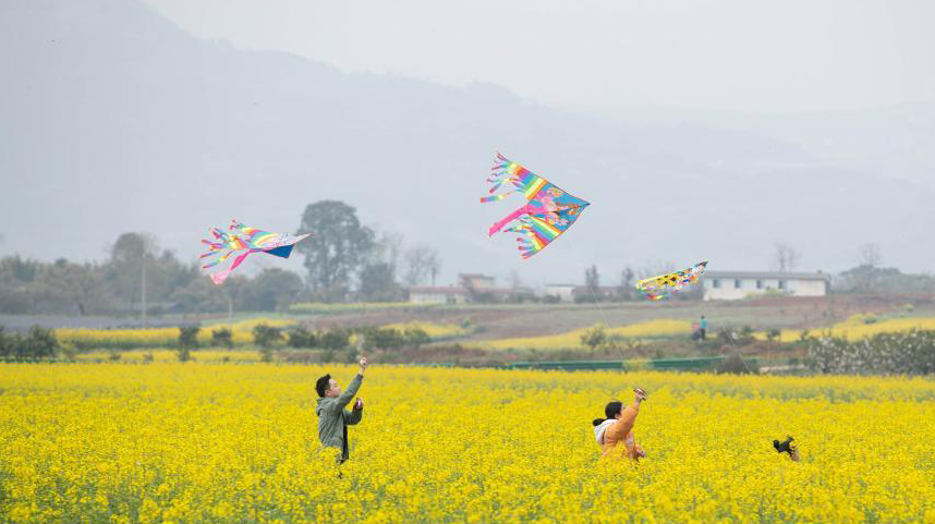 川西平原花季之旅
