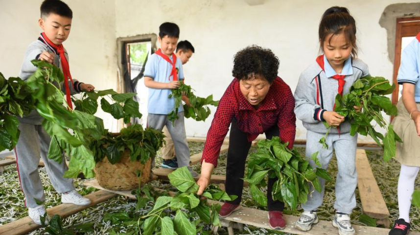 浙江湖州：研习蚕桑文化