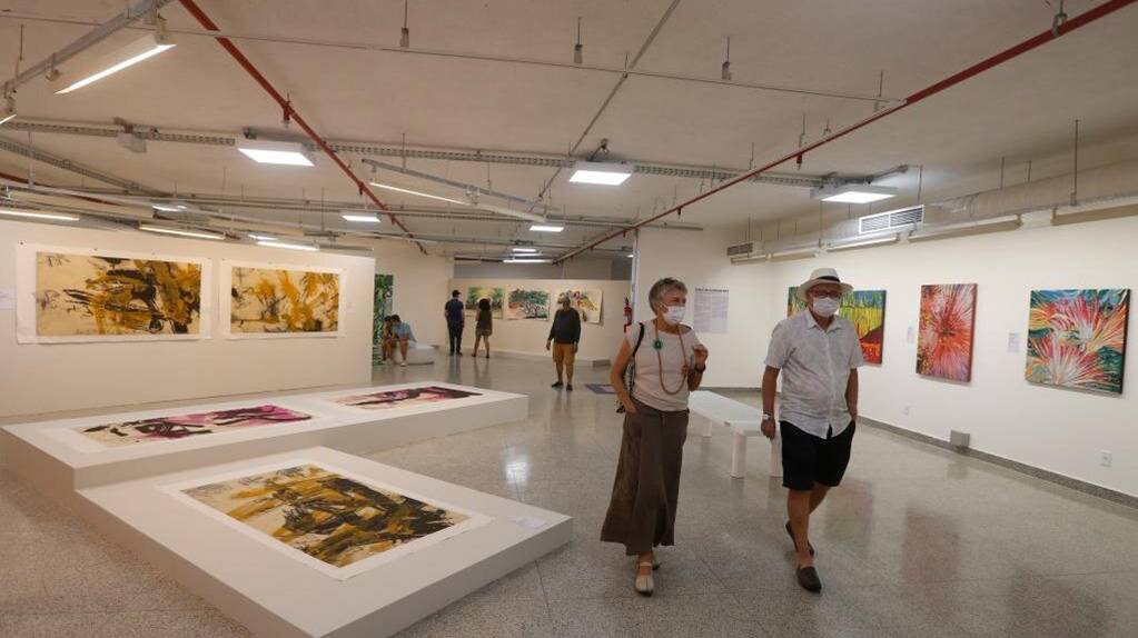 中国巴西当代艺术展在巴西利亚举行