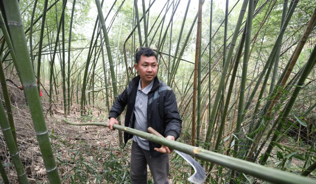 广西金秀：传统手工艺 编织增收路