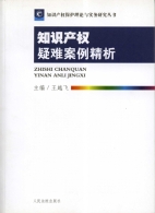 《知识产权疑难案例精析--知识产权保护》