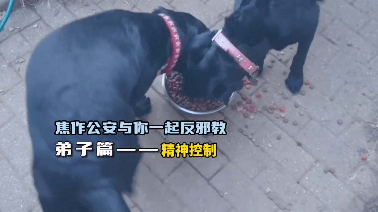 焦作公安与你一起反邪教（二）