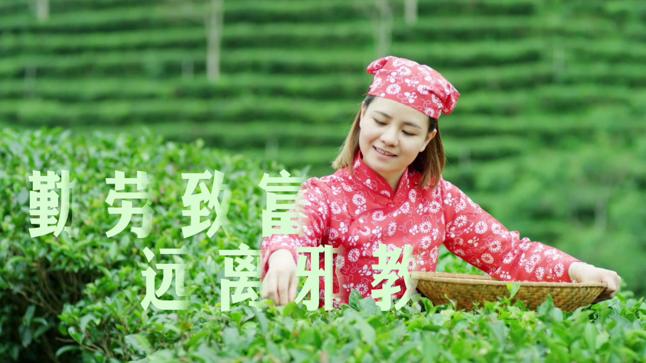 勤劳致富 远离邪教
