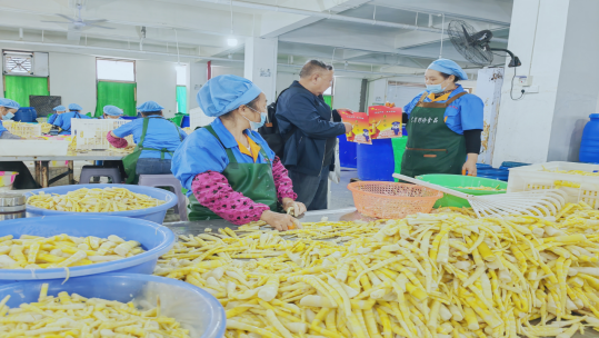 四川宜宾:开展“反邪宣传进企业 夯筑员工安全墙”主题进企业宣传活动